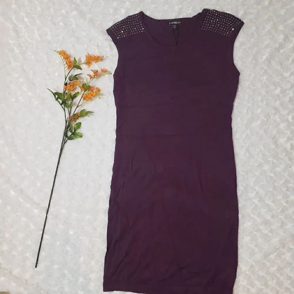 Express plum color size medium studded dress